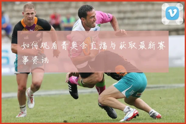 如何观看青奥会直播与获取最新赛事资讯