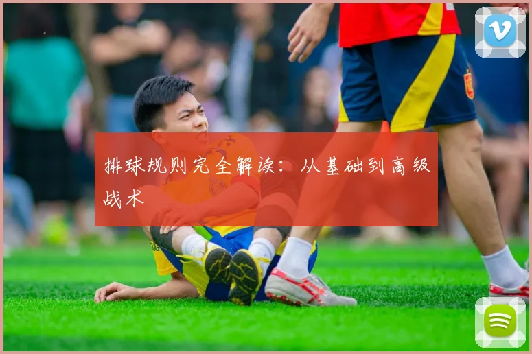 排球规则完全解读：从基础到高级战术