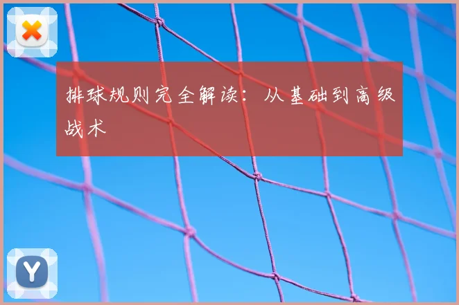 排球规则完全解读:从基础到高级战术