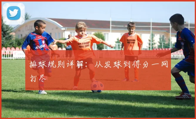 排球规则详解：从发球到得分一网打尽